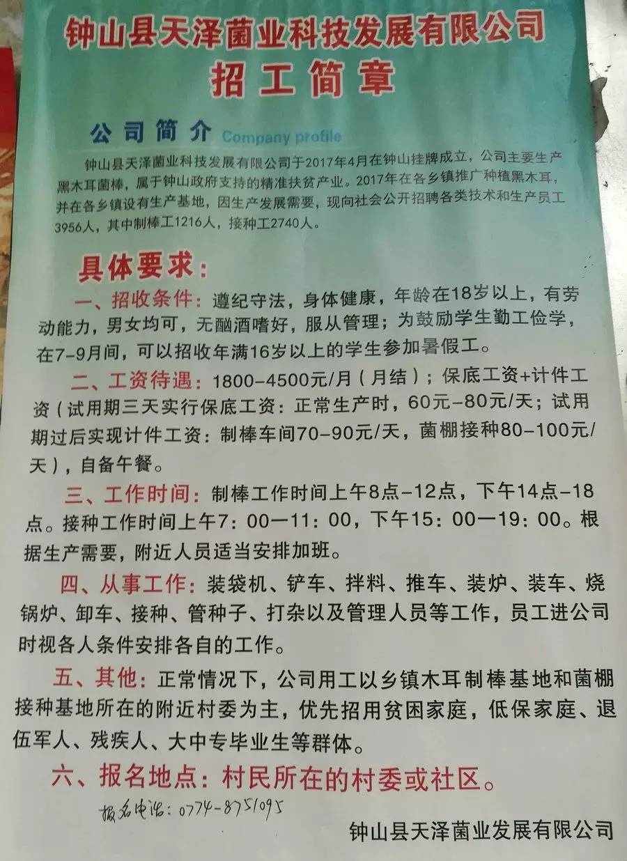 天津因塔思最新招工信息及其社会影响分析