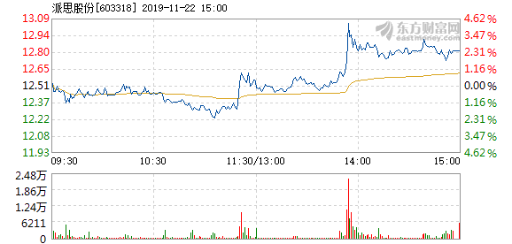 派思股份股票最新动态全面解读